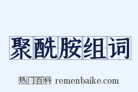 聚酰胺组词是什么意思的图片